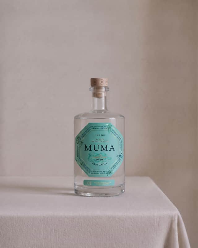 Gin 01 500 ml